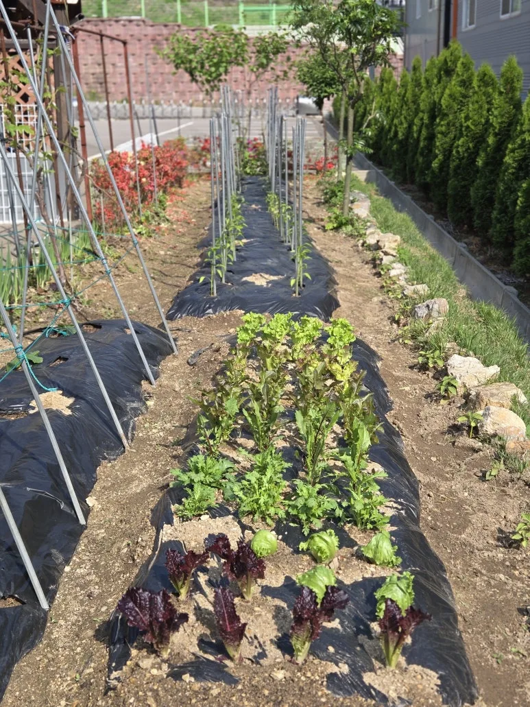 KakaoTalk_20250511_212312837_02.jpg?type=w773