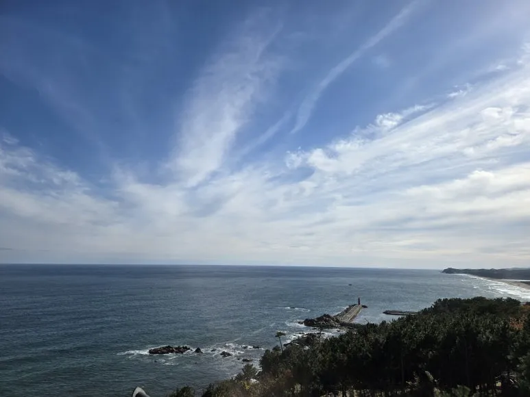 KakaoTalk_20241119_211309052_17.jpg?type=w773