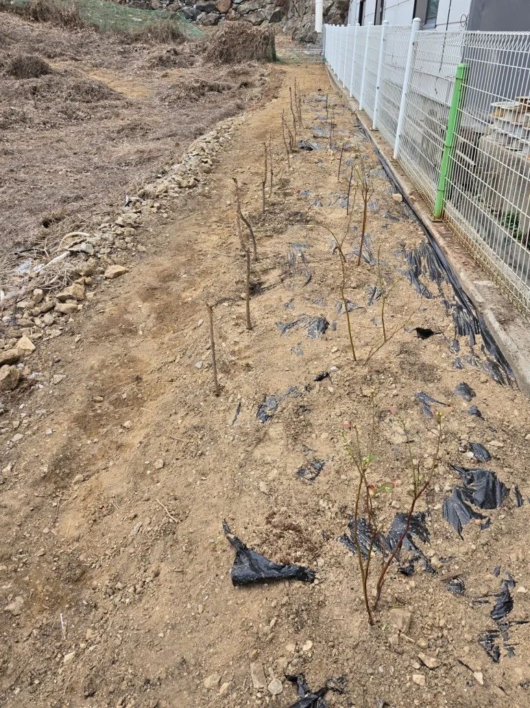 SE-b346a23b-ea42-4024-860f-476b4a300feb.jpg?type=w773