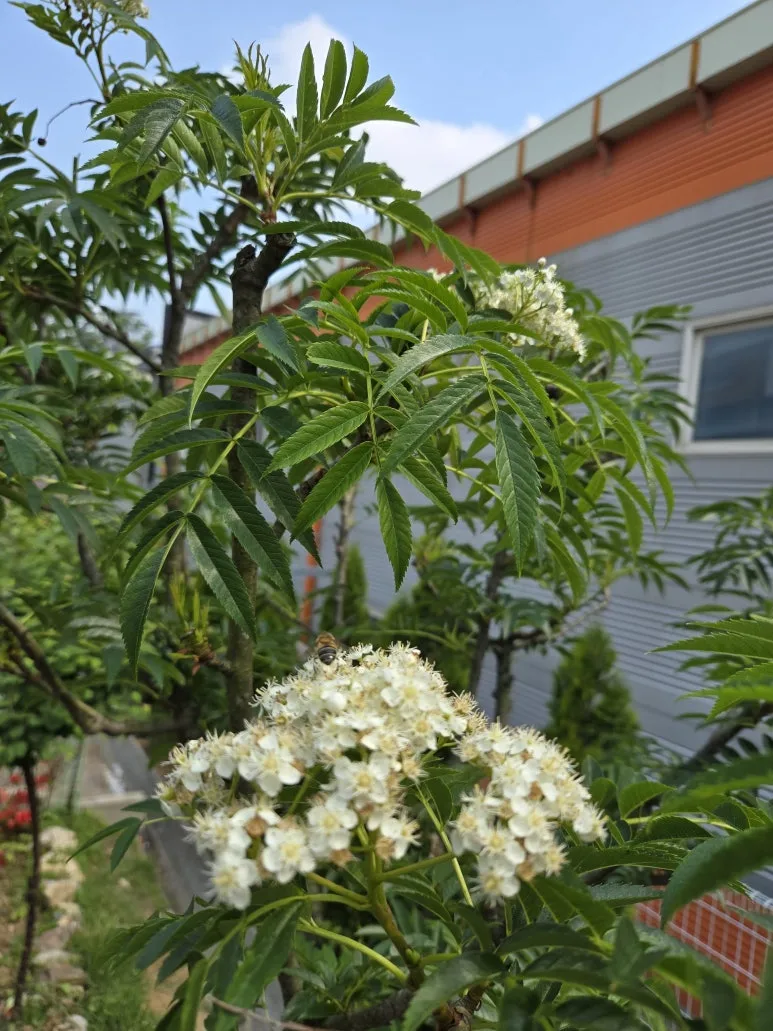 KakaoTalk_20250511_212312837_12.jpg?type=w773