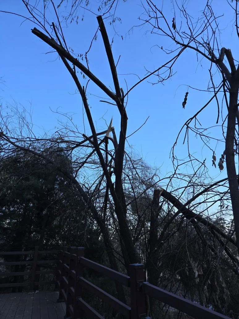 KakaoTalk_20241229_145611841_01.jpg?type=w773