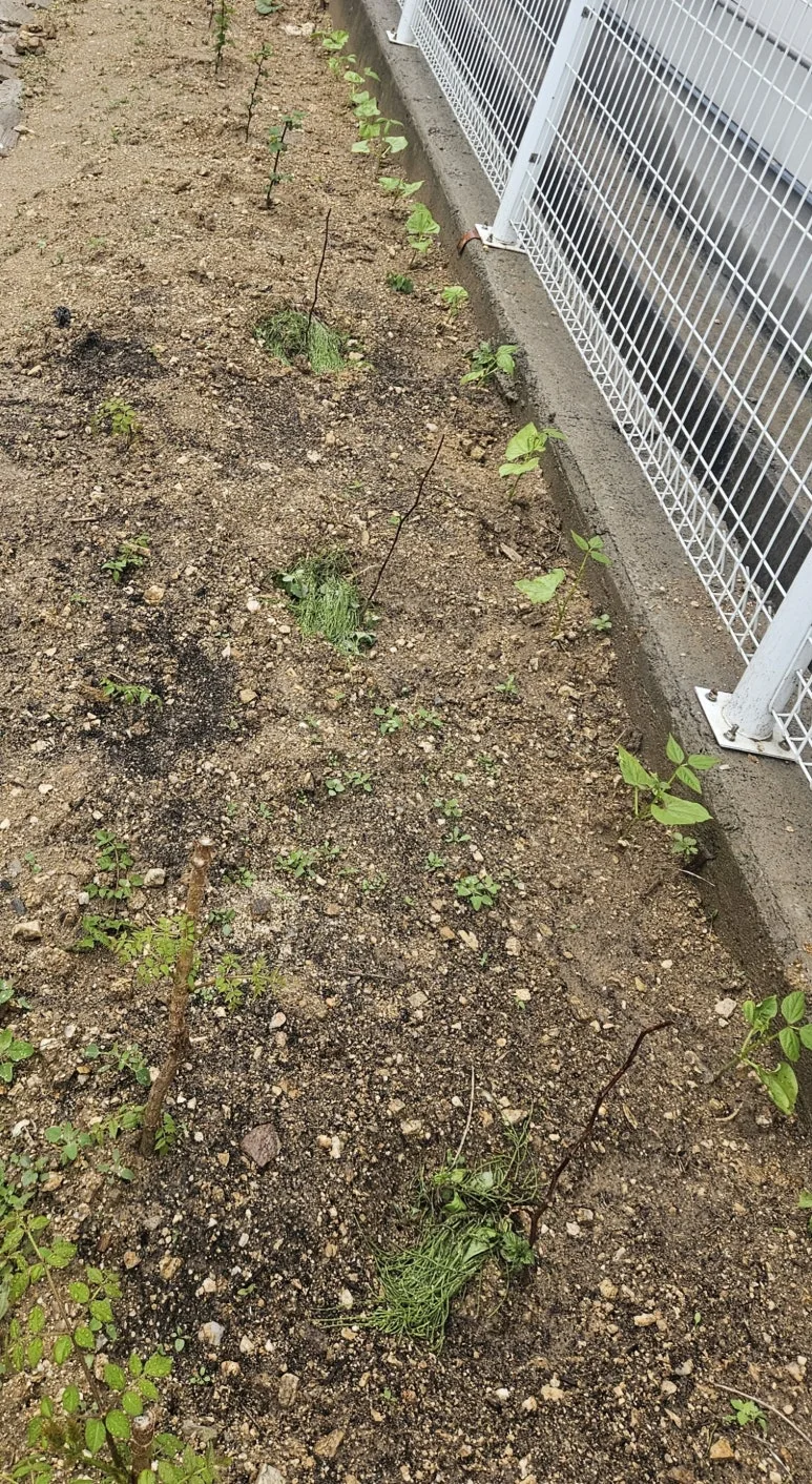 KakaoTalk_20250503_112747067_05.jpg?type=w773