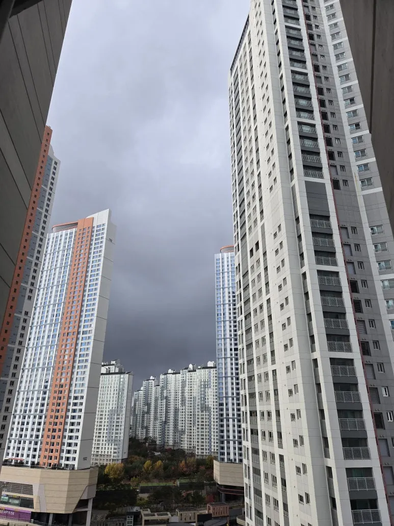 KakaoTalk_20241126_152559894.jpg?type=w773