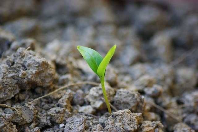 germ-4840439_640.jpg?type=w773