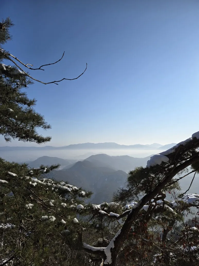 KakaoTalk_20250203_120903483_16.jpg?type=w773