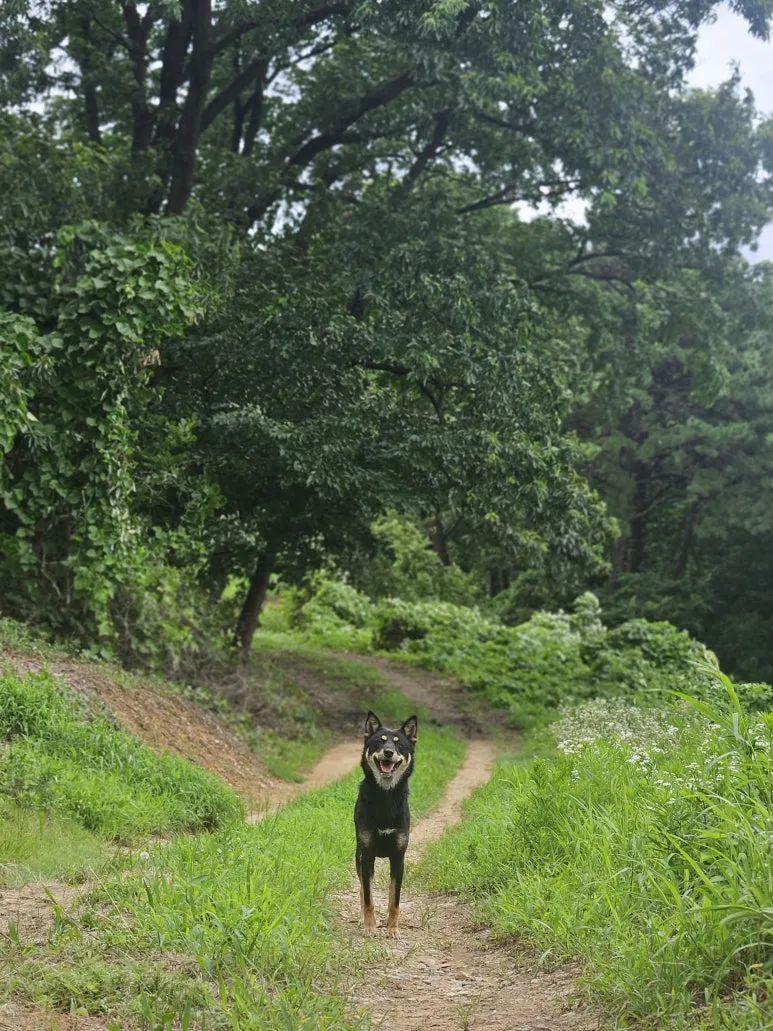 KakaoTalk_20251220_093411951.jpg?type=w773