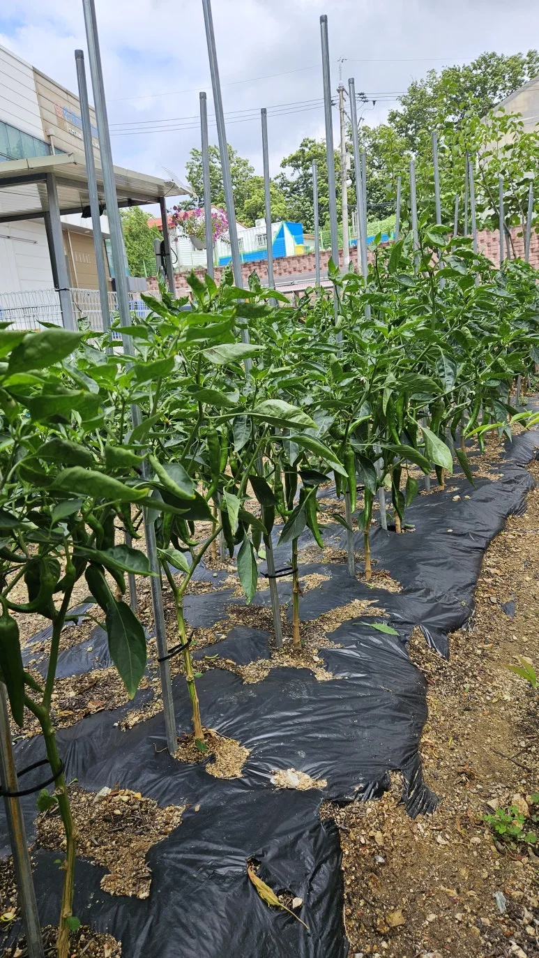 KakaoTalk_20240630_140727185_18.jpg?type=w773