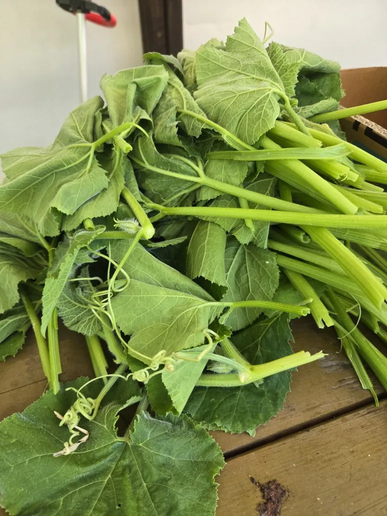 KakaoTalk_20250727_173346412.jpg?type=w773