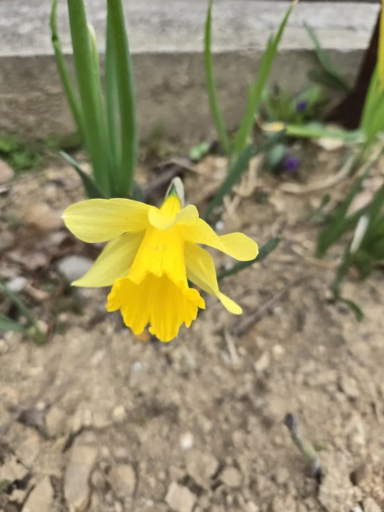 KakaoTalk_20250427_123918827_11.jpg?type=w773