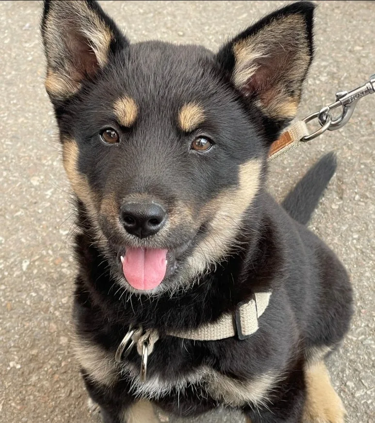 SE-9e913e66-4e59-48bc-b55d-9e736071f670.jpg?type=w773