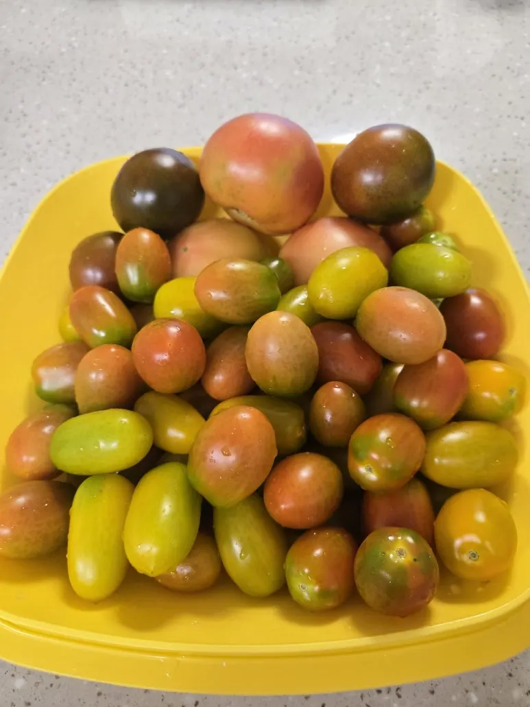 KakaoTalk_20250727_173346412_16.jpg?type=w773