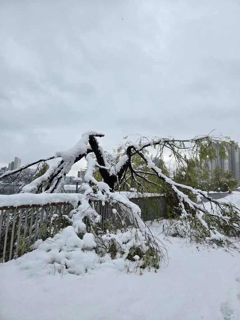 KakaoTalk_20241229_145611841.jpg?type=w773