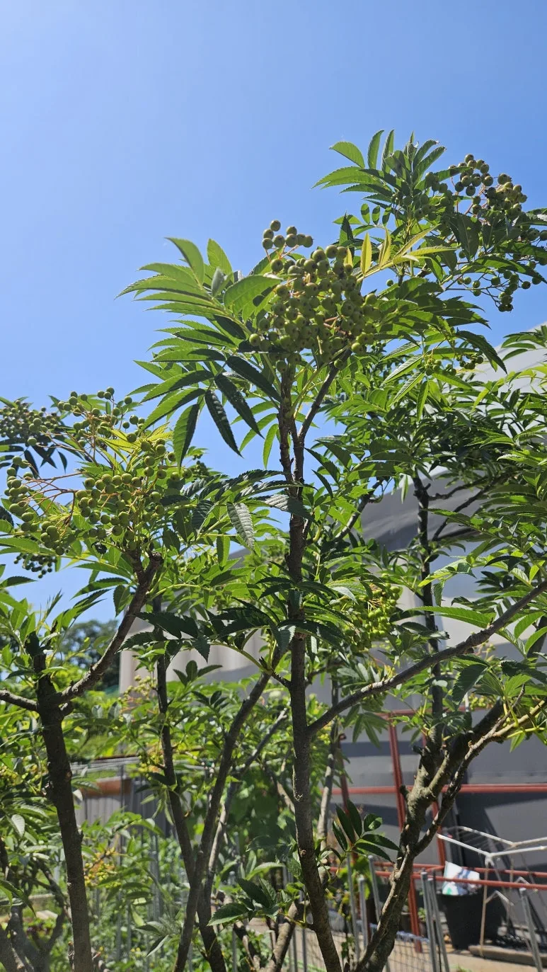 KakaoTalk_20240602_143458836_07.jpg?type=w773