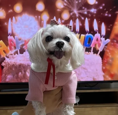 KakaoTalk_20240102_170719842.jpg?type=w386