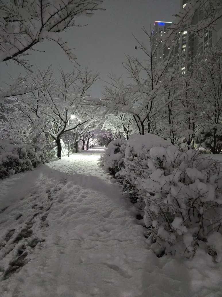 KakaoTalk_20241127_231223144_15.jpg?type=w773