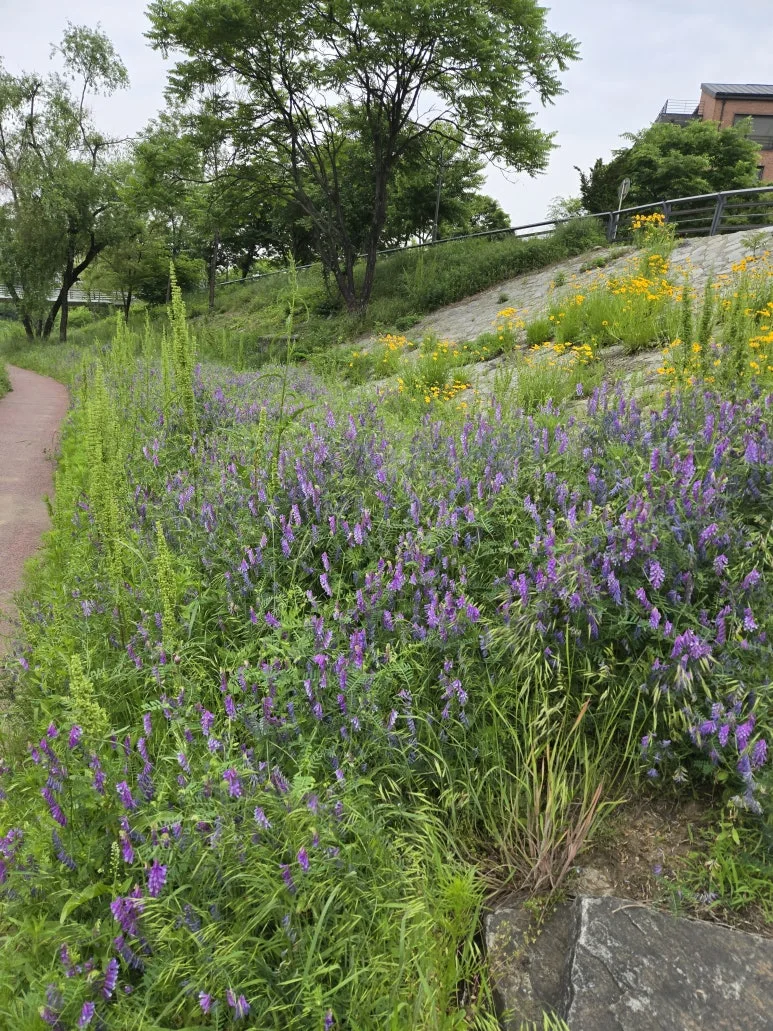 KakaoTalk_20250529_140215492_13.jpg?type=w773