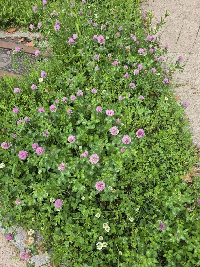 KakaoTalk_20250529_140215492_15.jpg?type=w773