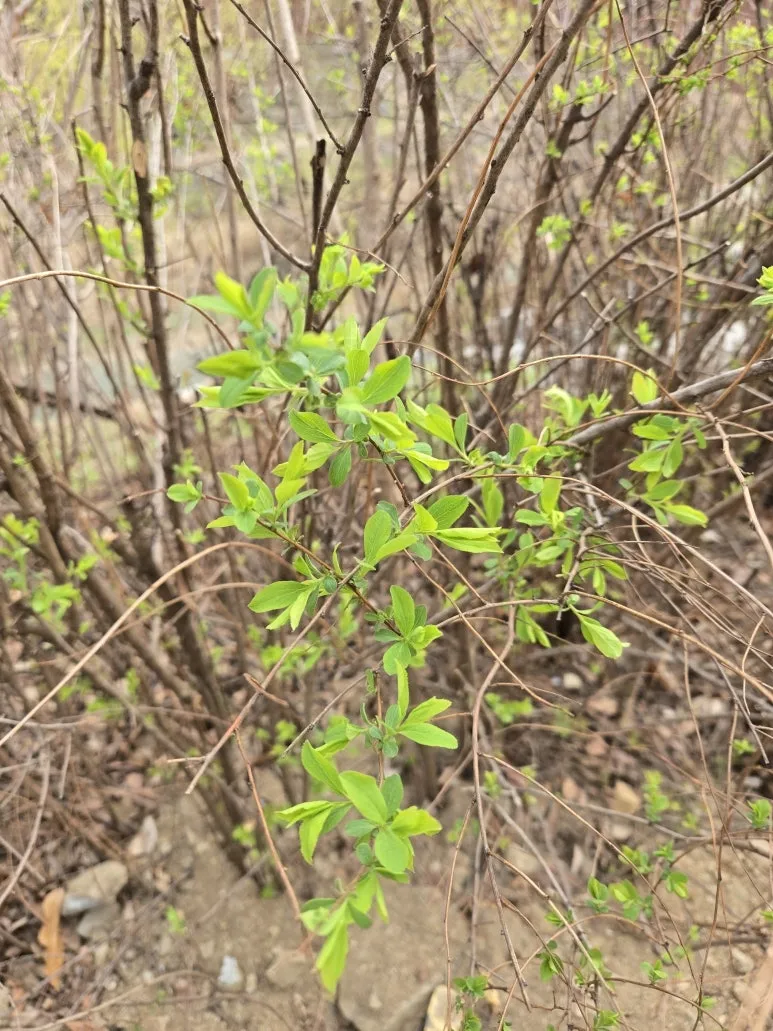 KakaoTalk_20250327_204226448_04.jpg?type=w773