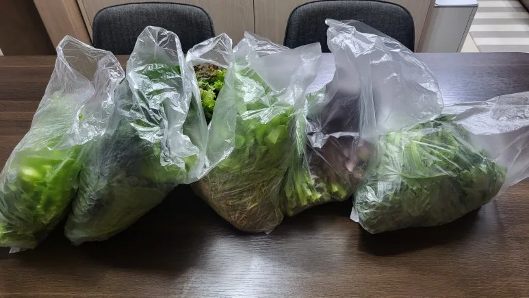 KakaoTalk_20240530_204239990.jpg?type=w773