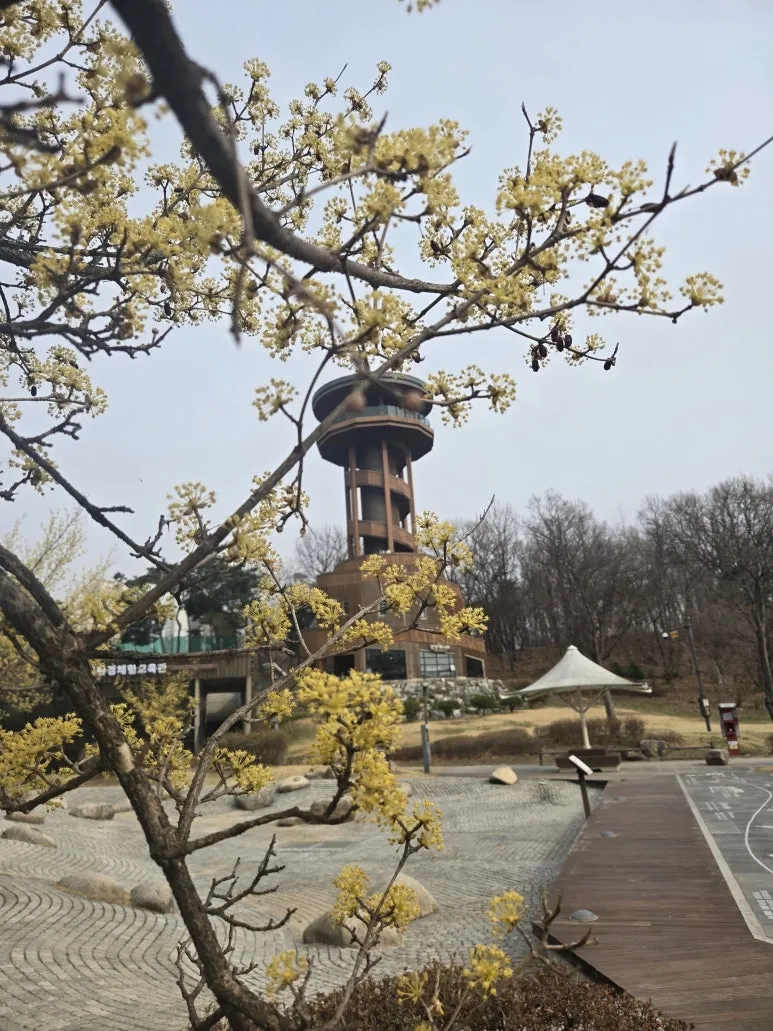 KakaoTalk_20250327_204226448_07.jpg?type=w773