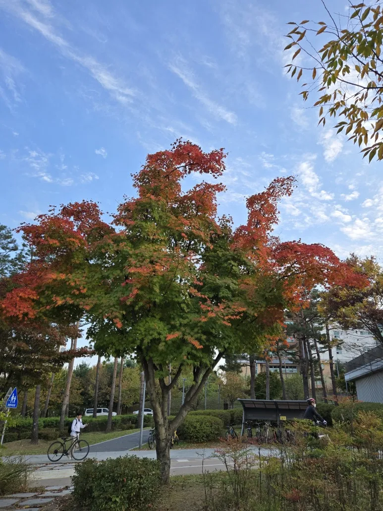 KakaoTalk_20241104_210651506_13.jpg?type=w773