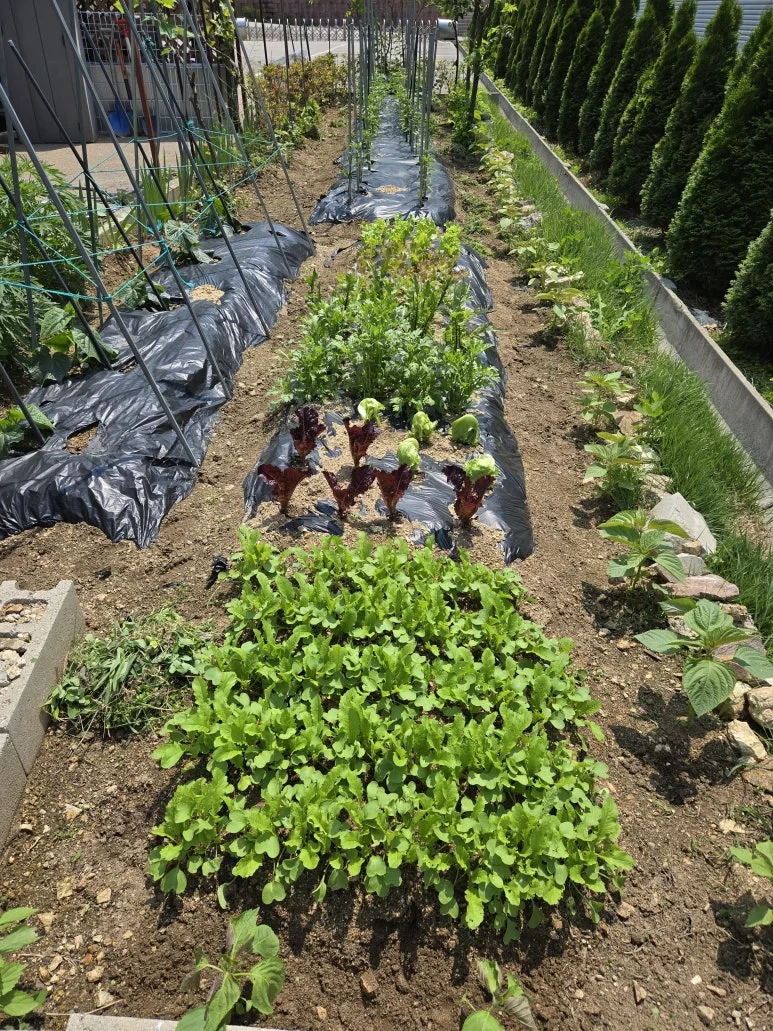 KakaoTalk_20250526_215558562_10.jpg?type=w773