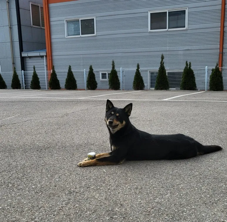 SE-78f24852-3145-450c-a600-2ceaed7186dc.jpg?type=w773