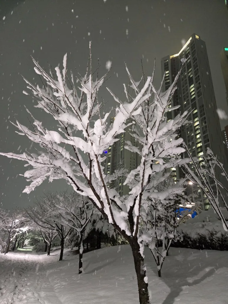 KakaoTalk_20241127_231223144_14.jpg?type=w773