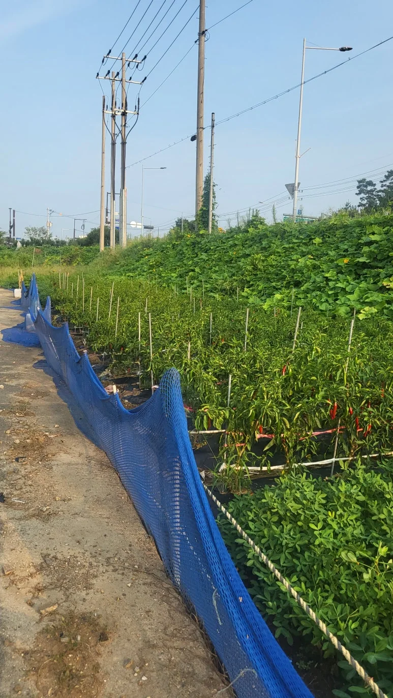 KakaoTalk_20240820_104910051_07.jpg?type=w773