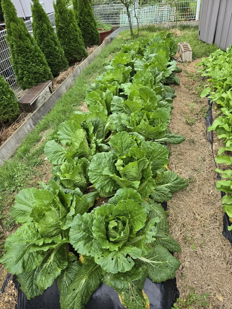 KakaoTalk_20241010_210747052_04.jpg?type=w773