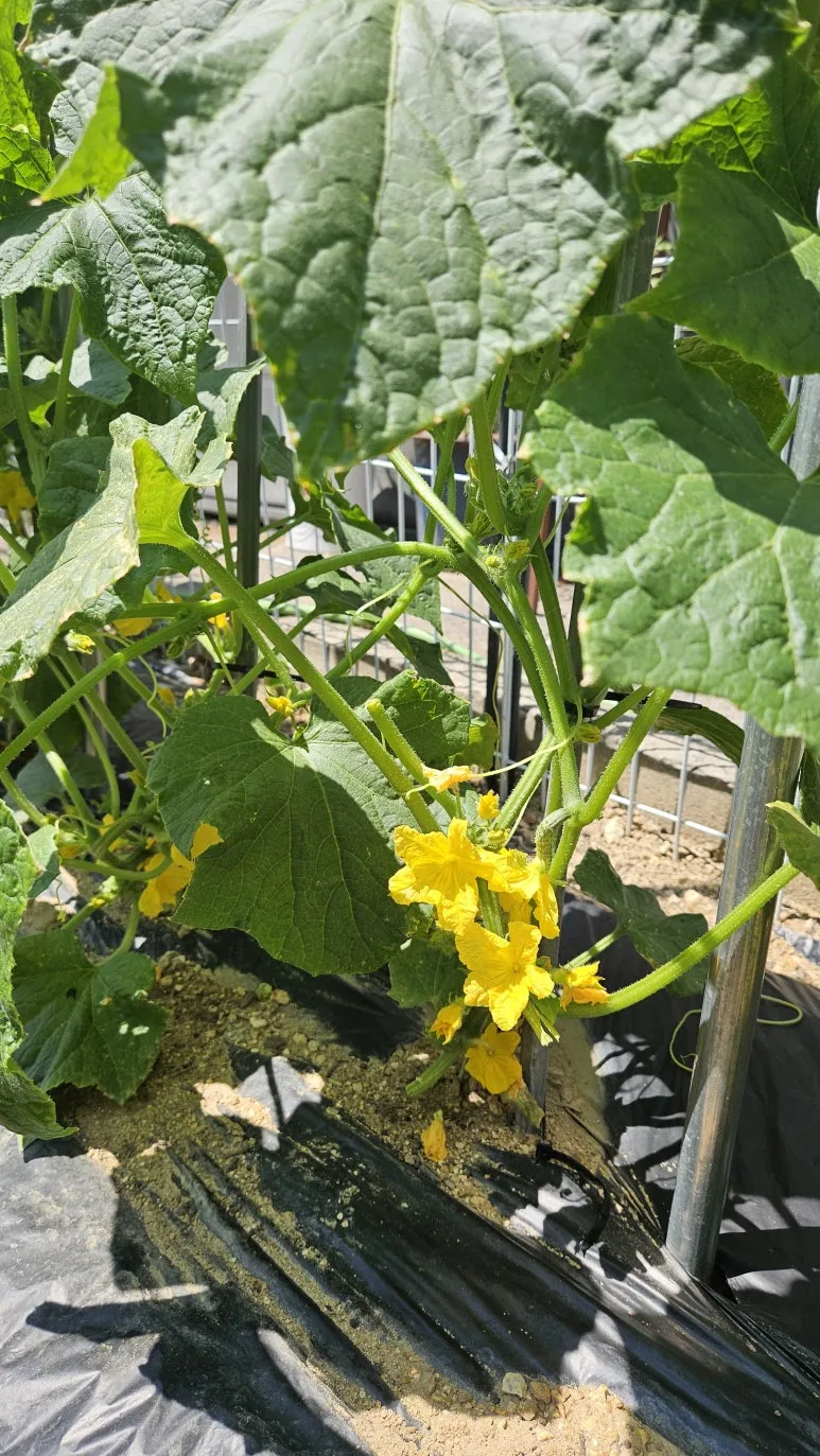 KakaoTalk_20240602_143458836_05.jpg?type=w773