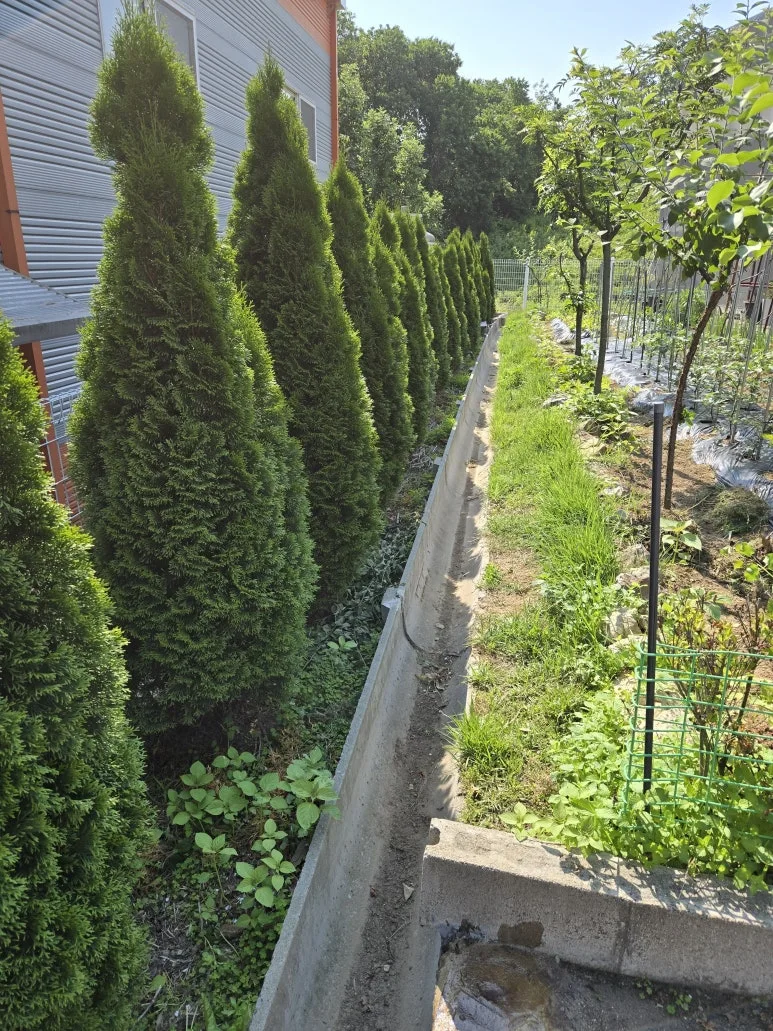 KakaoTalk_20250526_215558562_06.jpg?type=w773