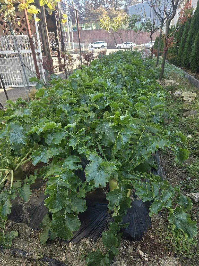 KakaoTalk_20251115_164541505_01.jpg?type=w773