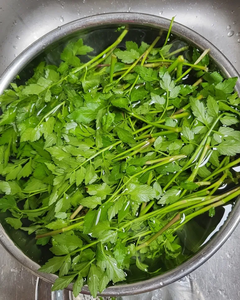 SE-81ee8a9d-1ee4-4226-b0db-2cb32c2c882a.jpg?type=w773