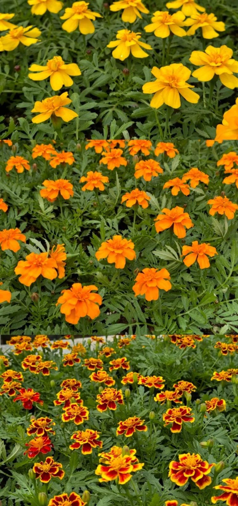 KakaoTalk_20240609_171621342.jpg?type=w773