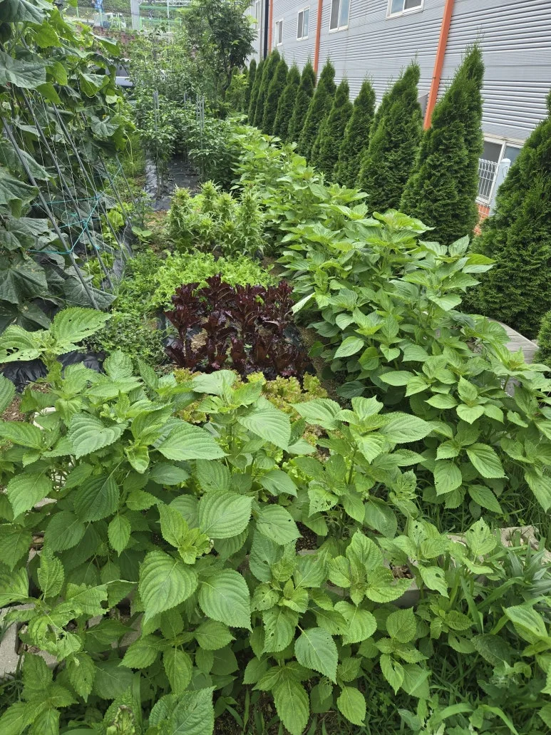 KakaoTalk_20250629_153127048_16.jpg?type=w773