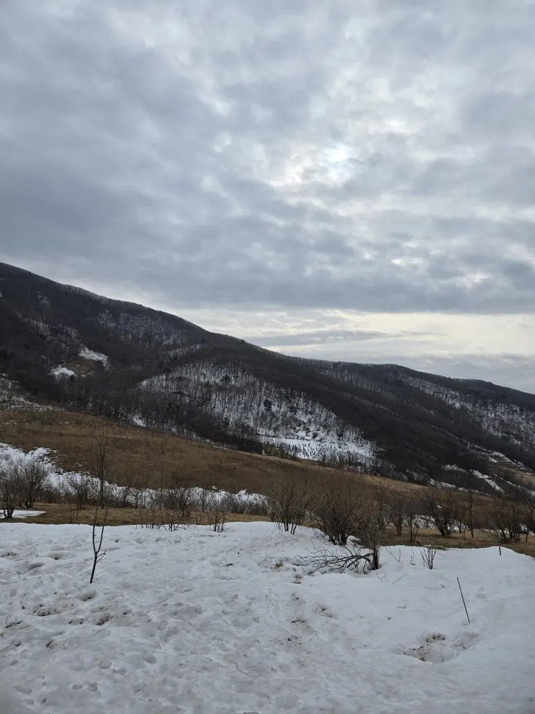 KakaoTalk_20250303_120338172_06.jpg?type=w773