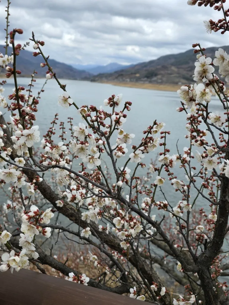 KakaoTalk_20250318_103705379_19.jpg?type=w773