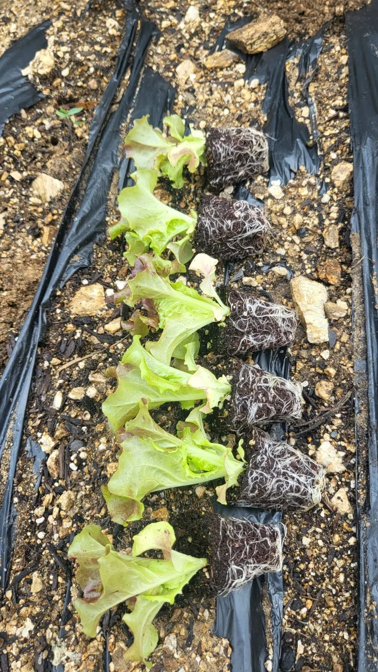 KakaoTalk_20240630_140913667_07.jpg?type=w773