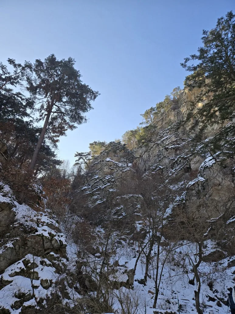 KakaoTalk_20250203_120903483_19.jpg?type=w773