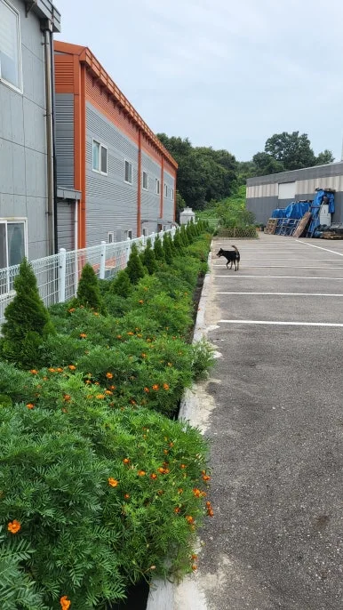 KakaoTalk_20240602_143707061.jpg?type=w386