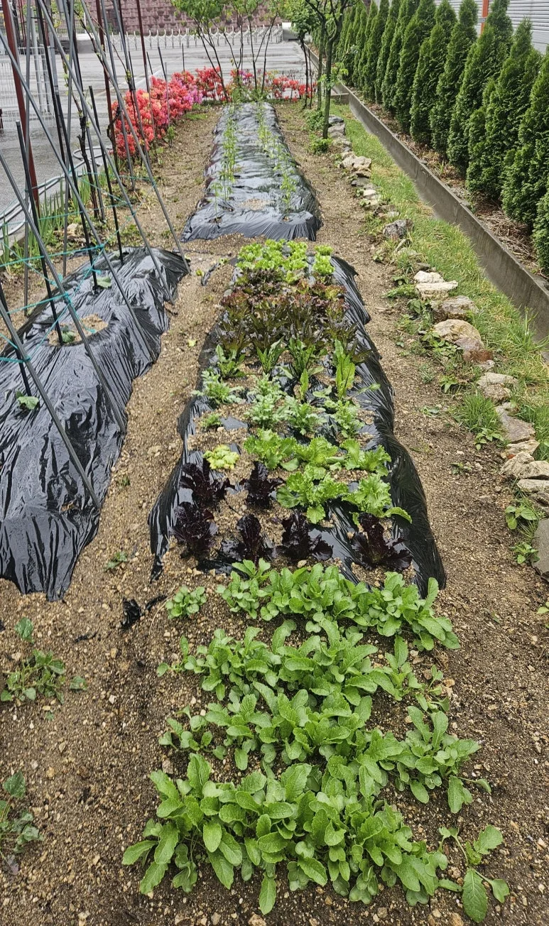 KakaoTalk_20250503_112747067_03.jpg?type=w773