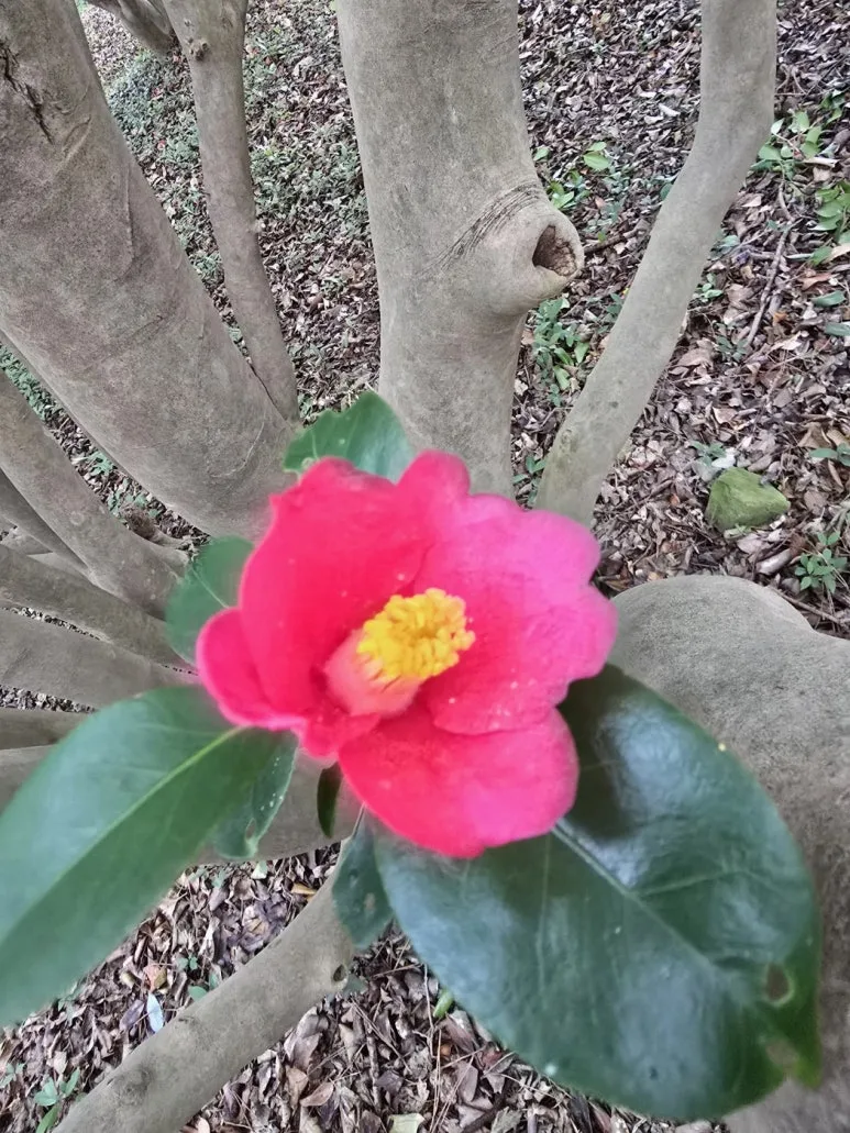 KakaoTalk_20250318_103705379_14.jpg?type=w773