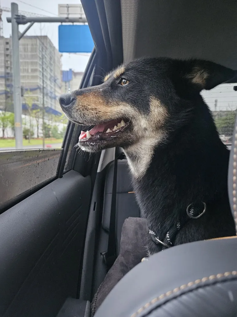 KakaoTalk_20251220_093411951_02.jpg?type=w773