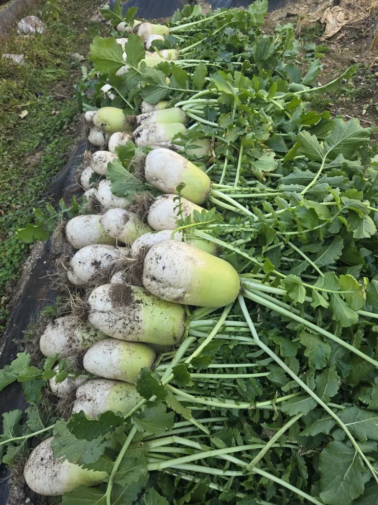 KakaoTalk_20251115_164541505_04.jpg?type=w773