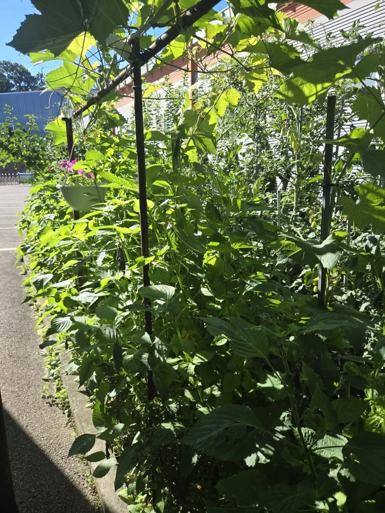 KakaoTalk_20250727_173346412_10.jpg?type=w773