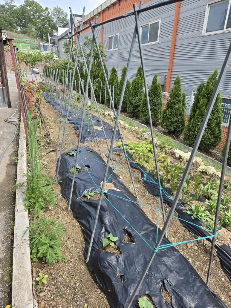 KakaoTalk_20250511_212312837_14.jpg?type=w773