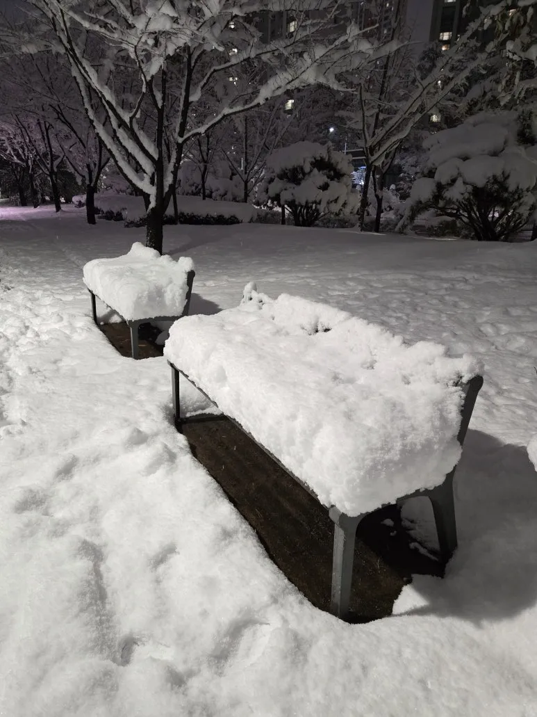 KakaoTalk_20241127_231223144_11.jpg?type=w773