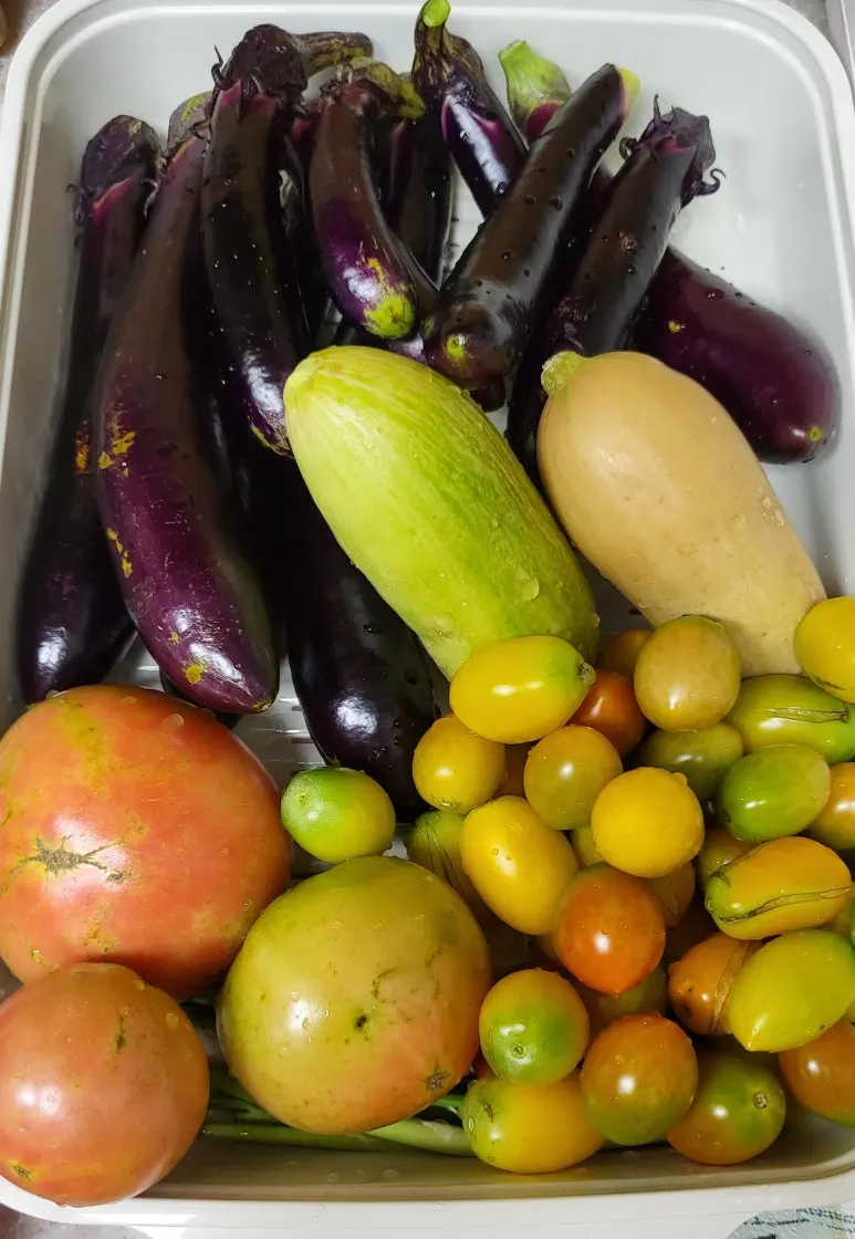 KakaoTalk_20240824_181858514_03.jpg?type=w773