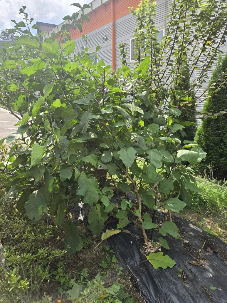 KakaoTalk_20250831_200757766_18.jpg?type=w773